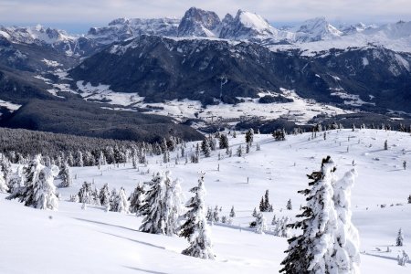 Schönste Wintererlebnisse am Wolfhof in Südtirol