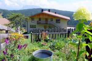 Bauerngarten, Blumen u Bienen 
